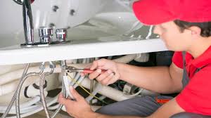 Plumbing System Maintenance in Tower Lakes, IL